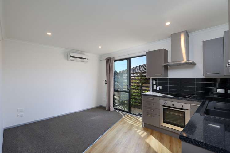 45 Saint Lawrence Street Toi Toi_20