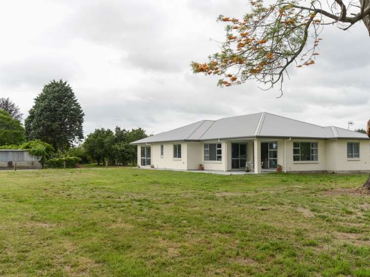 35 Jervois Road Jervoistown_16