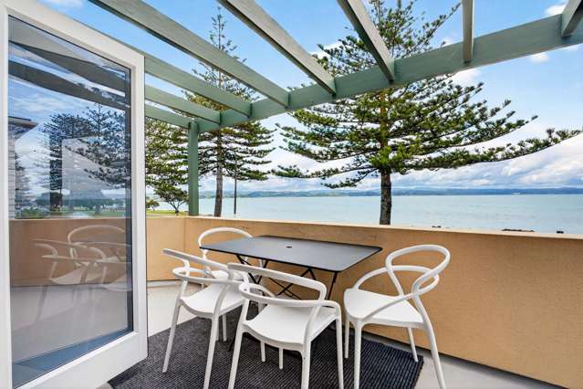 40 Hardinge Road Ahuriri_1