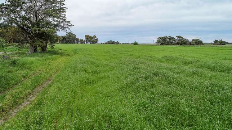 1947 Christchurch Akaroa Road Ataahua_25