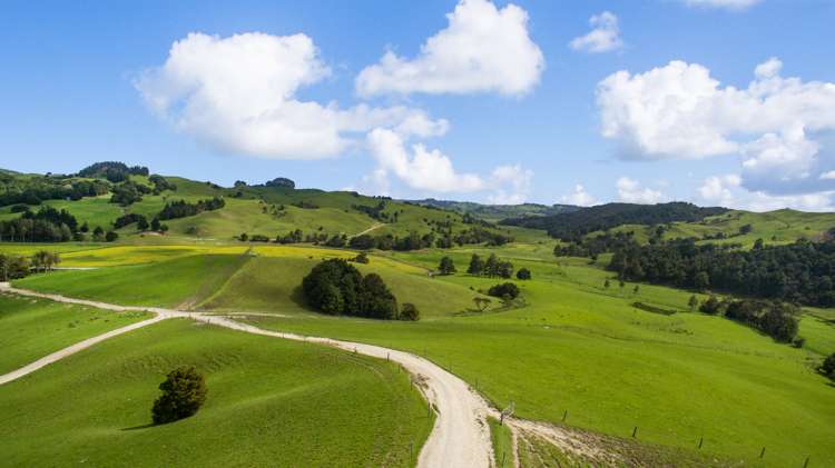 218 Waller Road Arapohue_17