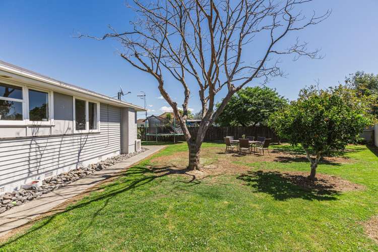 26 Mason Avenue Maraenui_16