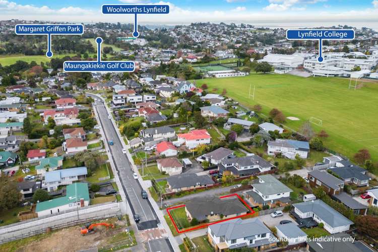25 Kimber Hall Avenue Mount Roskill_17