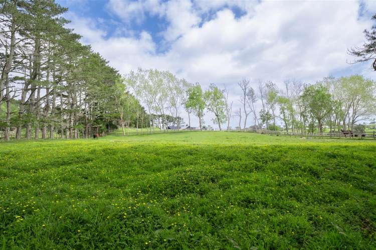 119 Nelson Road Taupaki_4