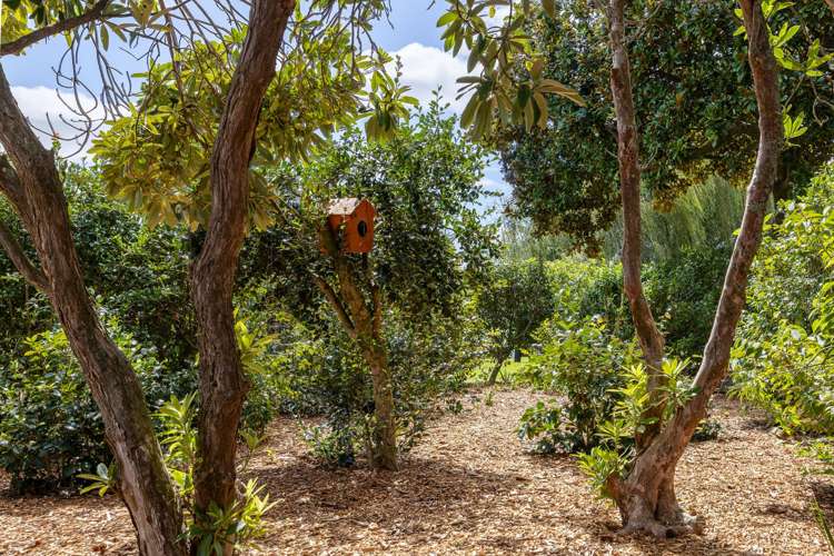 308b Hautapu Road Tamahere_23