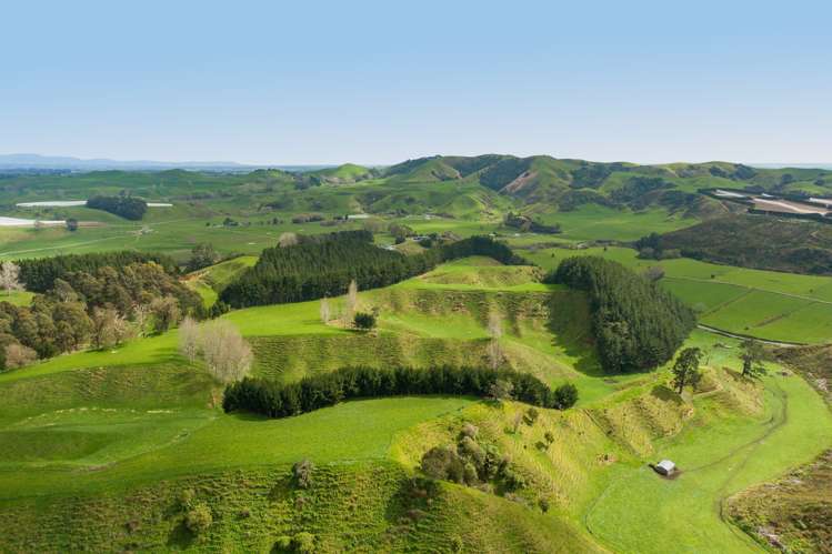 461 Otamarakau Valley Road Pukehina_8