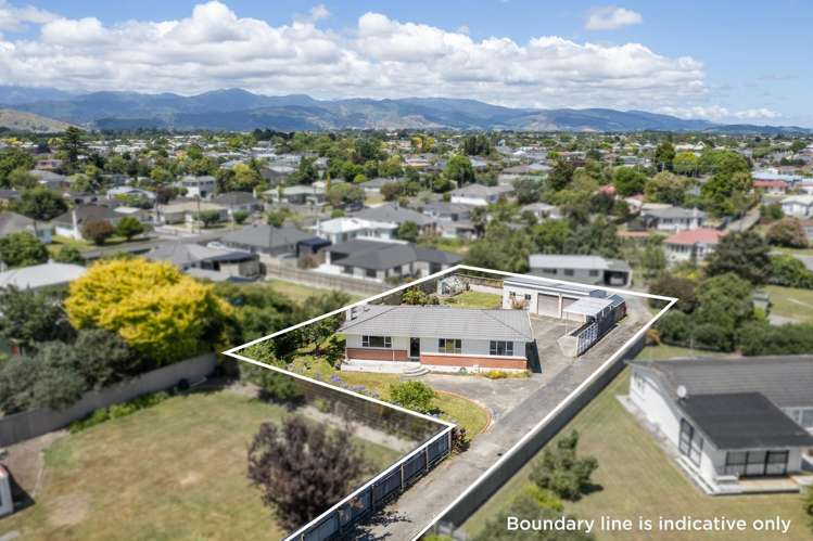 10 Hobson Street Levin_15