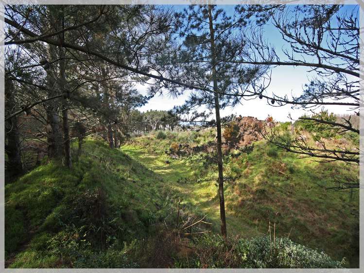 66 Palmer Road Foxton Beach_36