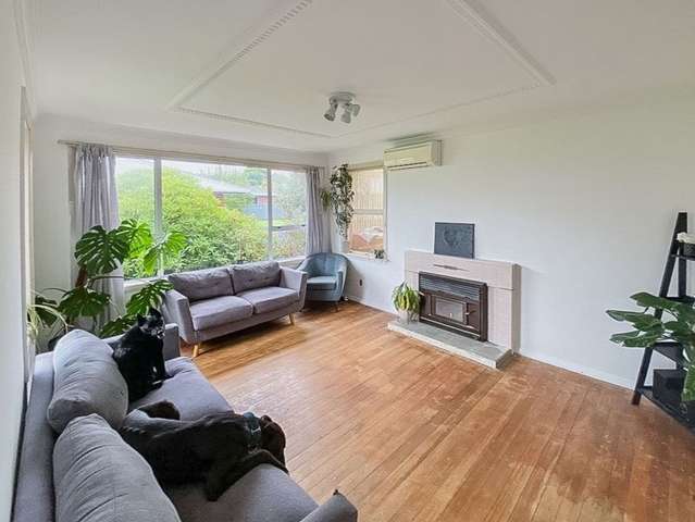 65 Matai Crescent Timaru_3