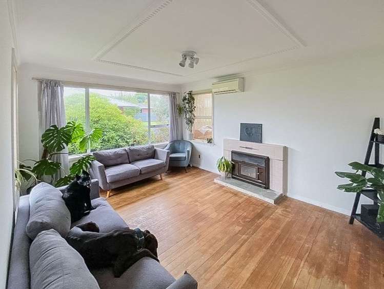 65 Matai Crescent Timaru_2