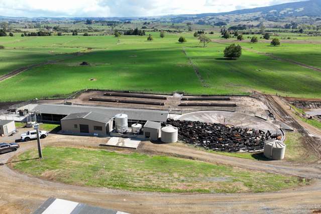 229 Candy Road Te Awamutu_1