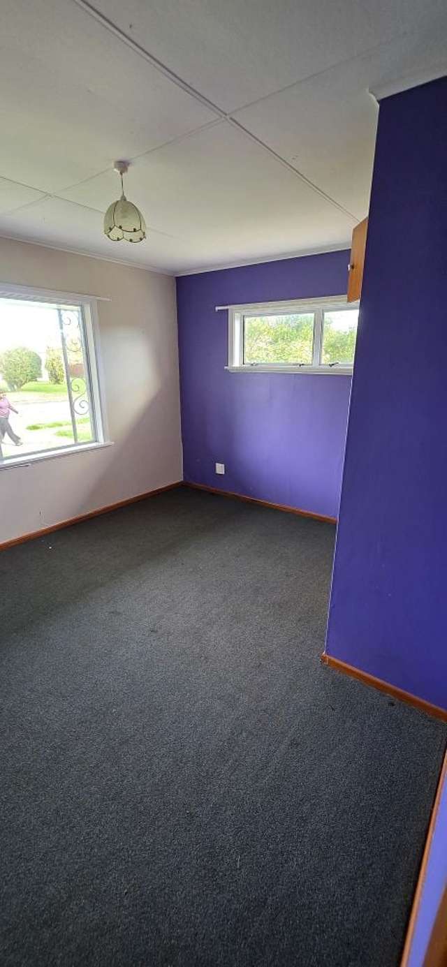 28 Elizabeth Street Levin_4