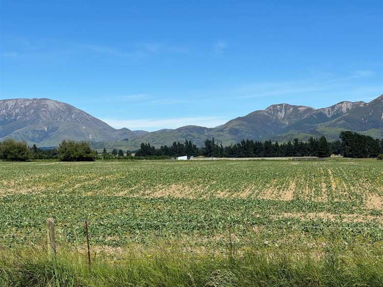 393 Kowai Road Springfield_19