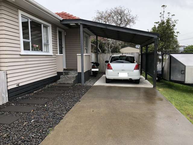 417 Carrington Street Upper Vogeltown_1