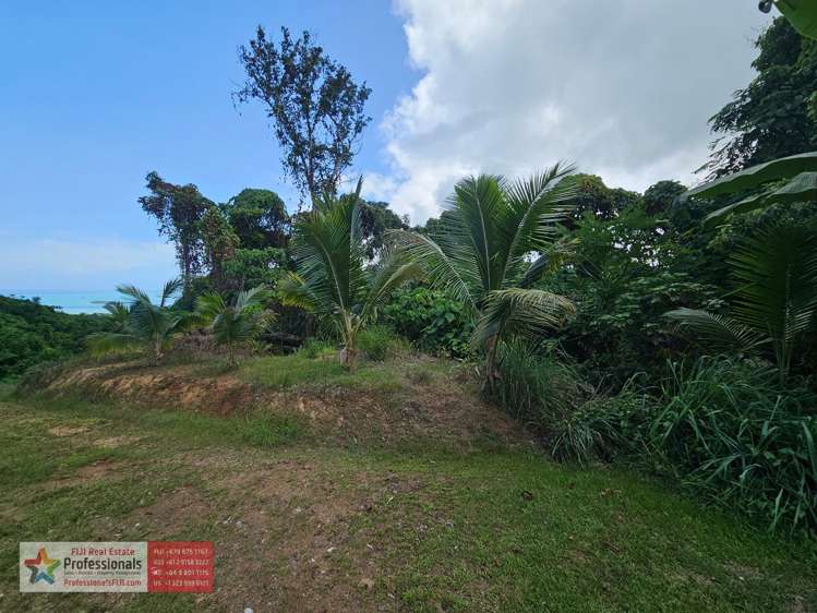Address withheld Savusavu_9