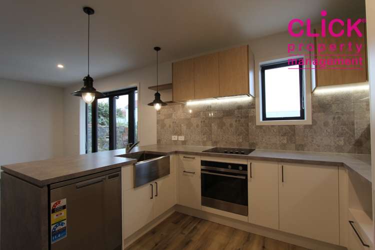 87 Maitland Street Dunedin Central_1