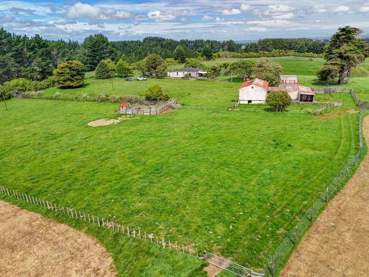 1173 Karahaki Road Waverley_21