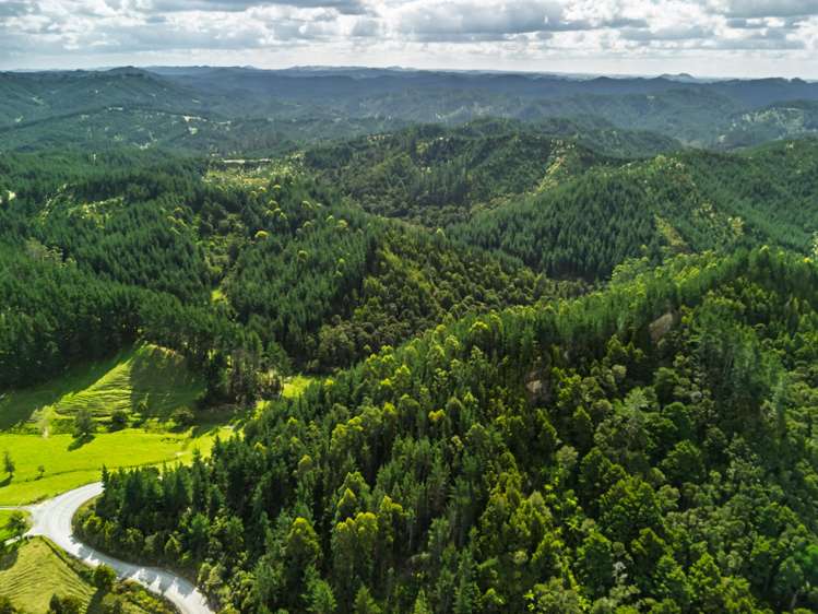 Pokapu Road Matawaia_2