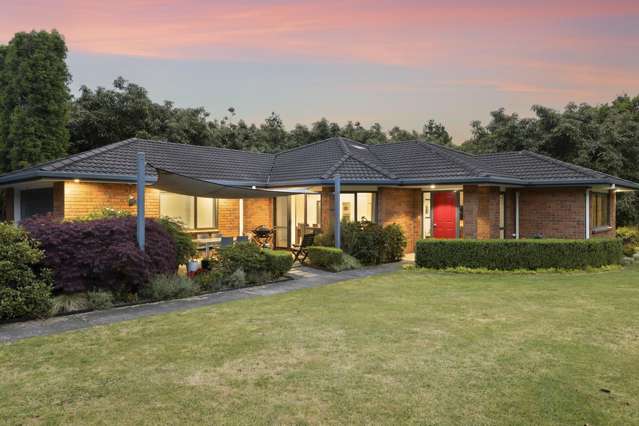 An Avocado Enhanced Lifestyle