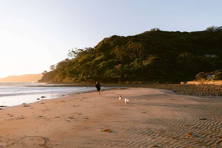 5 Mulberry Grove Road Great Barrier Island_65