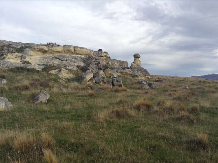 422 Earthquake Road Duntroon_12