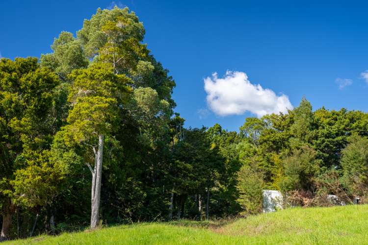 Mangahui Road Whareora_11