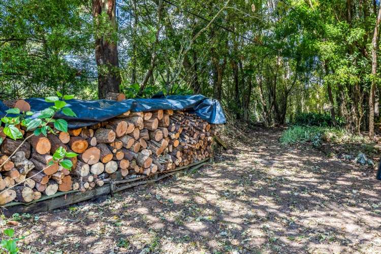 3 William Pitcher Place Greenhithe_16