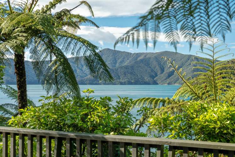Lot Lot 1/- Blackwood Bay Queen Charlotte Sound_7