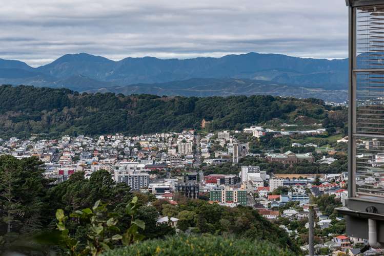 3 Ninian Street Highbury_20