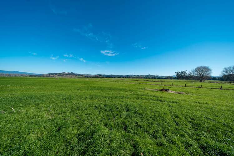 138 Higginson Road Ngahinapouri_6