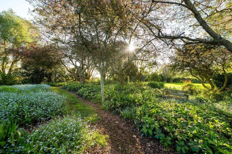 229 Norwegian Road Rotoorangi_26