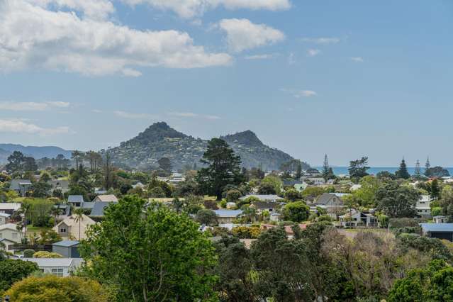 41 Mount Ave Pauanui_1