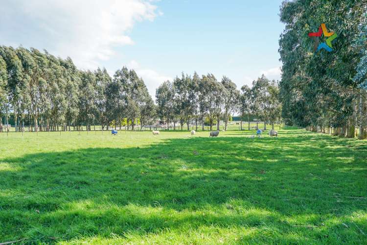 43 Steel Road West Plains_24