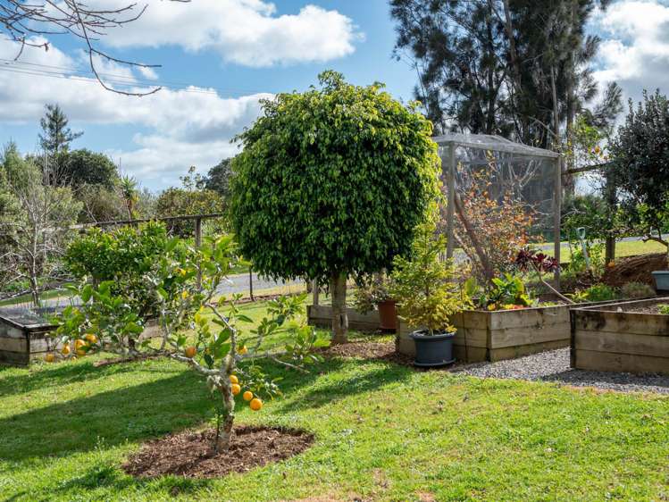 1 Palm Drive Kerikeri_34
