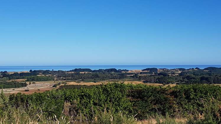 8 Wilson Way Waikanae_4