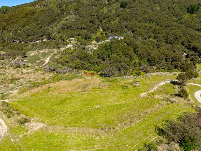 Mclaughlin Drive Tinui_4