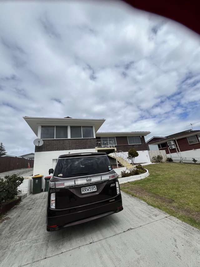 165 Hilllside Road Papatoetoe_1