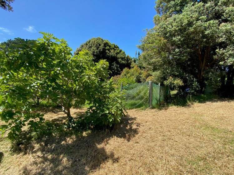 308 Henderson Bay Road Houhora_22