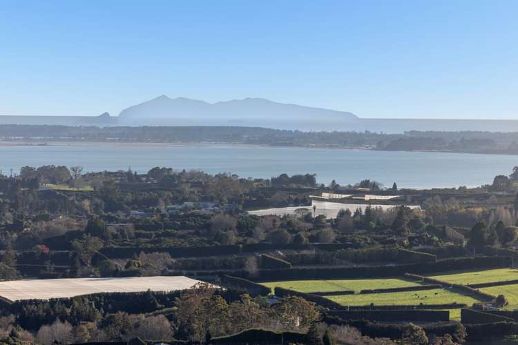 213e Minden Road Wairoa_4