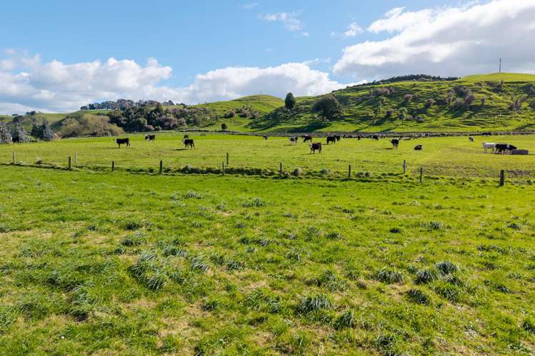 493 Scarborough Road Pahiatua_17
