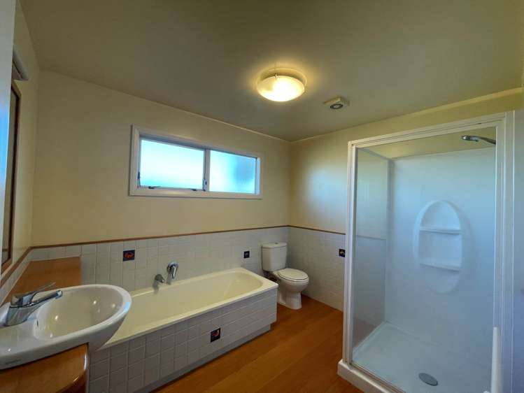 5 Peet Avenue Royal Oak_14