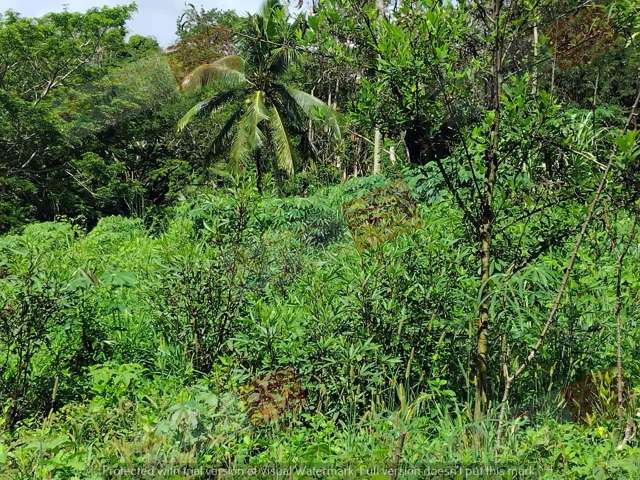 Address withheld Labasa_1