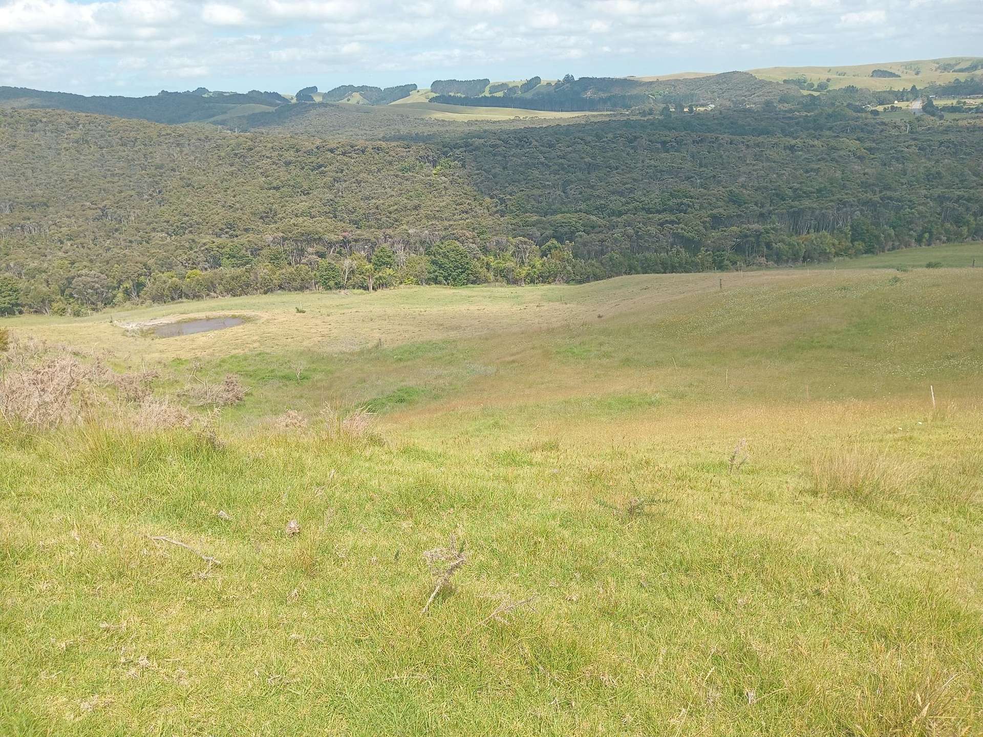 Lot 1/36 Te Moho Road Taipa_0