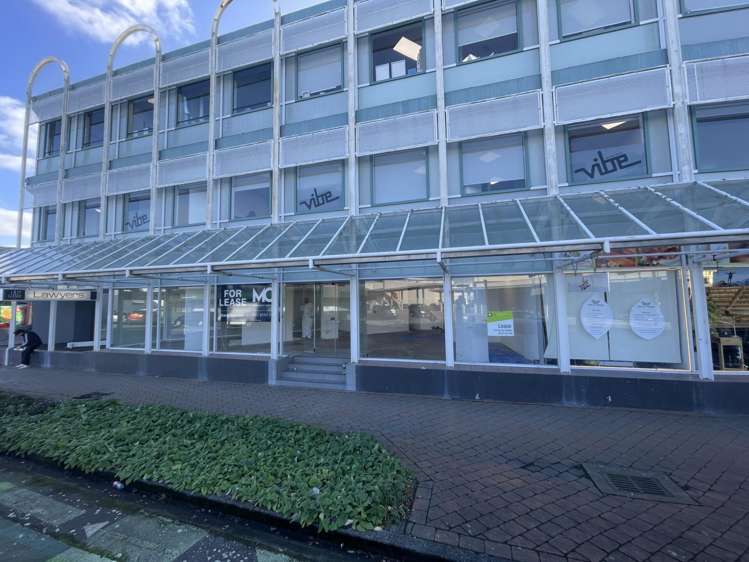 119 Queens Drive Hutt Central_5