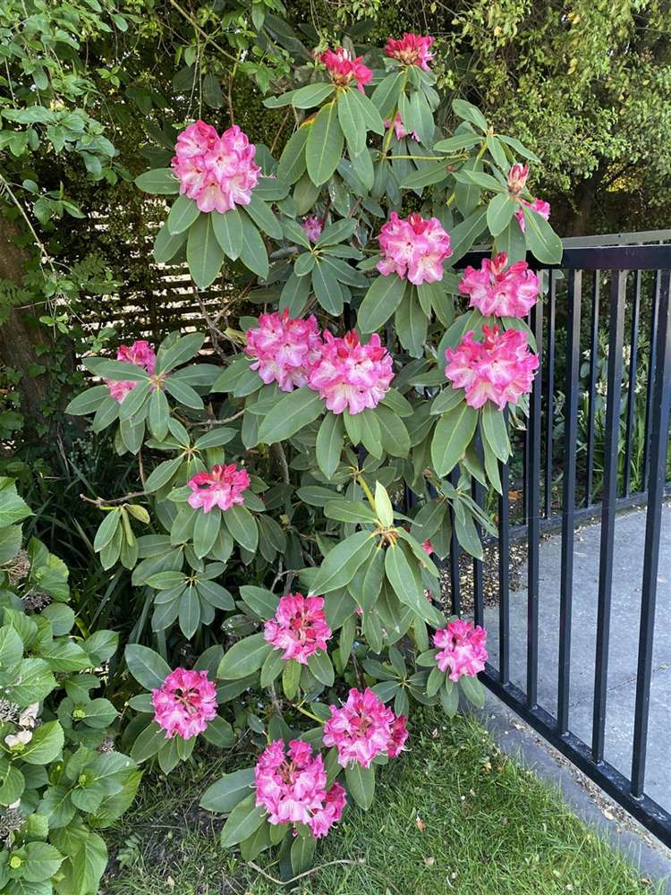 48a Michaels Road Tai Tapu_18