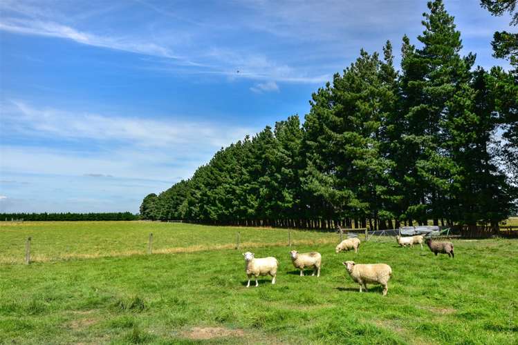 1627 Tramway Road Sheffield_23