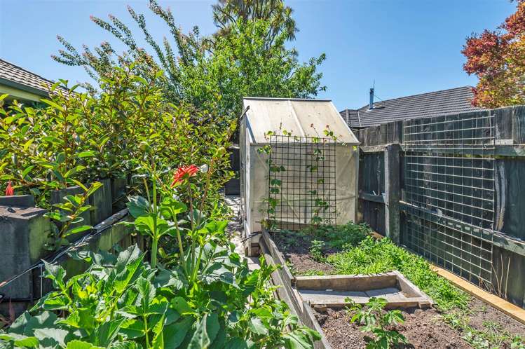 196 Quinns Road Shirley_21