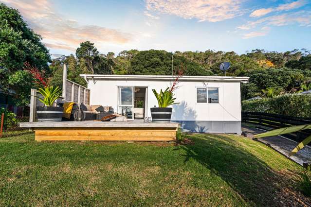 14 Domain Crescent Muriwai_1