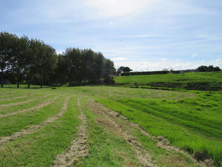 3064 Awhitu Road Awhitu_19