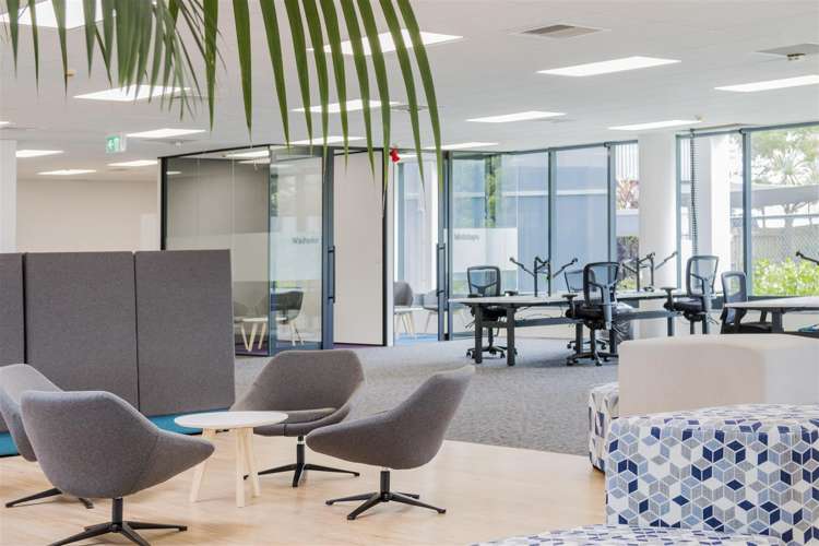 17 Hargreaves Street Freemans Bay_25